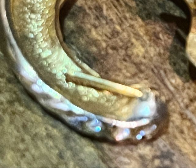 Pendientes bisutería alta calidad