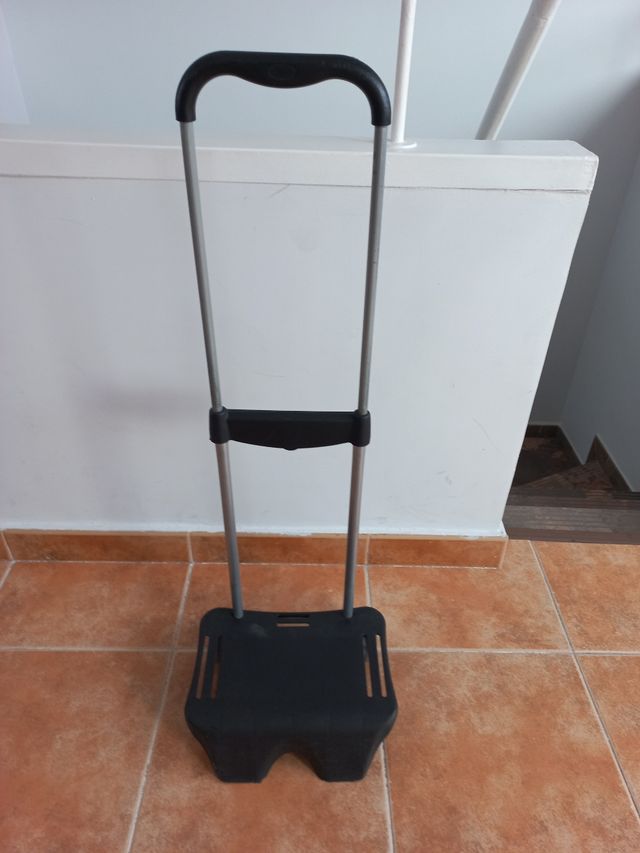 Carrito mochila