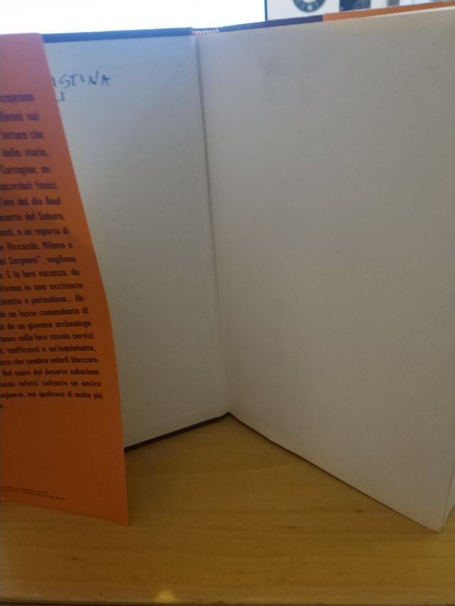 Romanzo di avventura per ragazzi