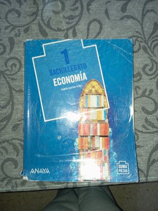 Libro 1 de bachillerato Economía