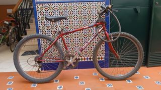 Bicicleta de montaña