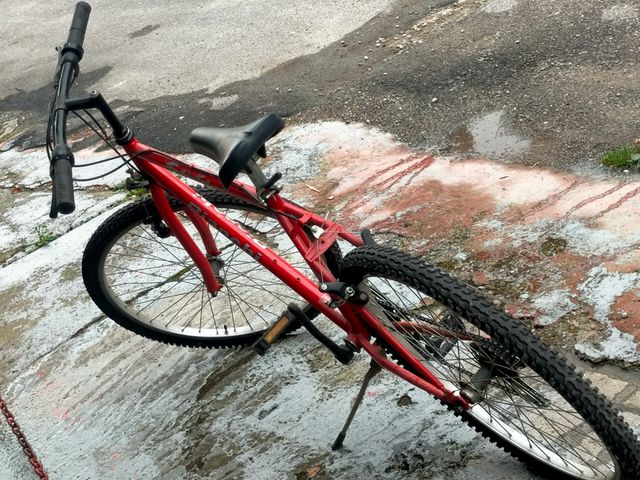 City Bike Bicicletta Bianchi Rossa Bicicletta Bianchi Snake Colore