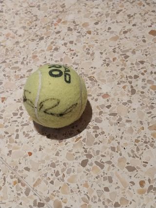 Pelota de tenis firmada