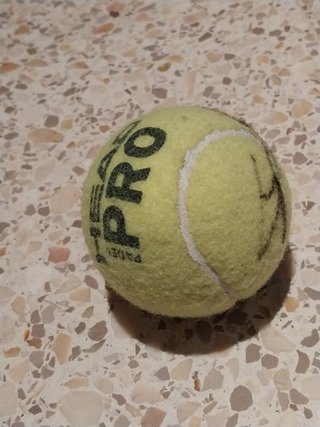 Pelota de tenis firmada