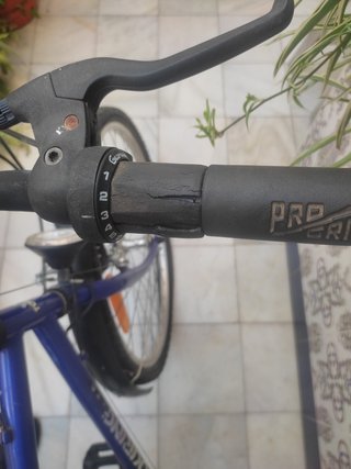 Bicicleta