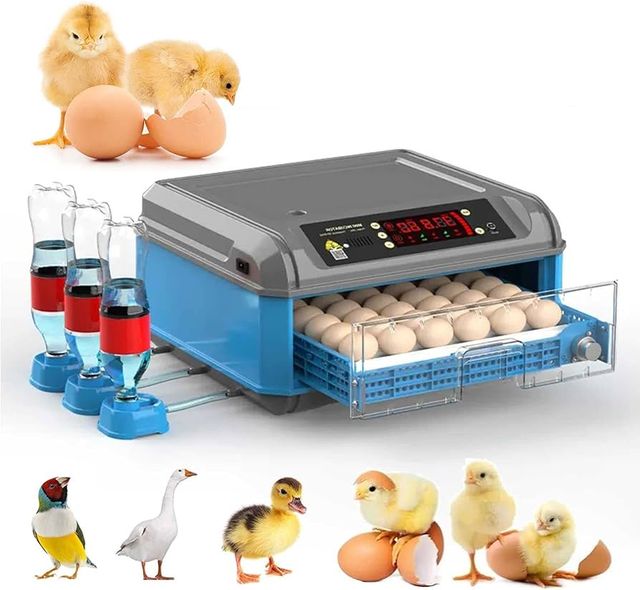 🐥🐣🐣Incubadora Digital totalmente automática