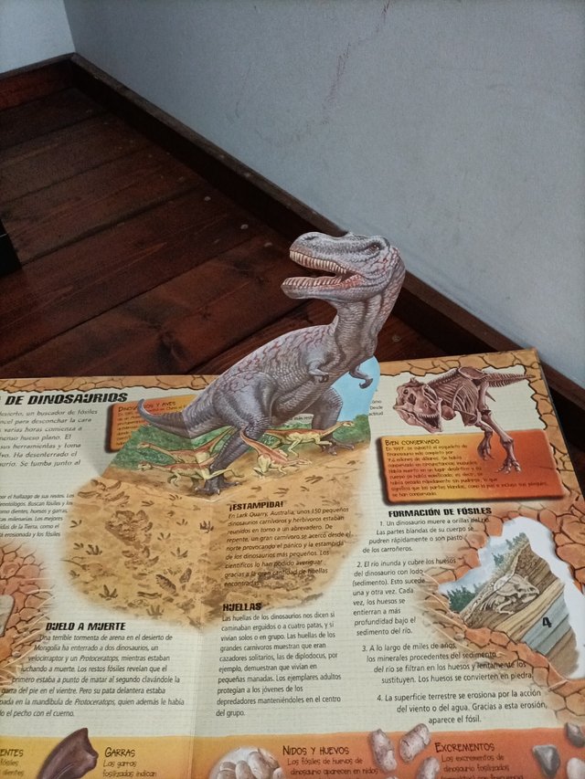 Libro dinosaurios