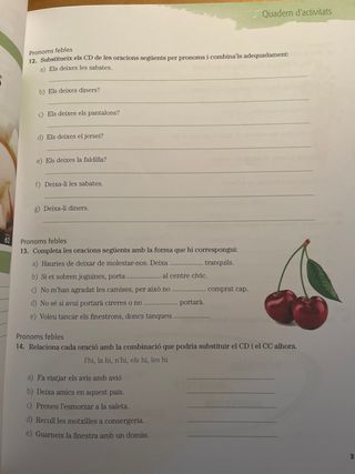 Quadern d’activitats Llengua catalana i Literatura