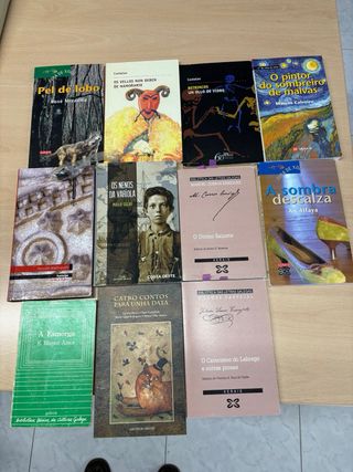 Lote 11 libros  en galego