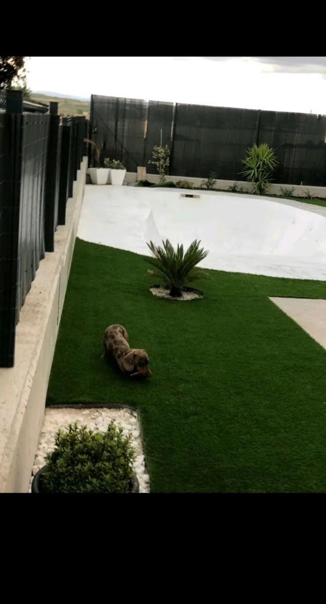 construcción y reparación de piscinas