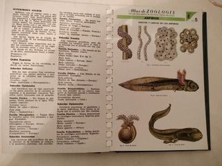 23 Pequeños Libros de los  Años 70