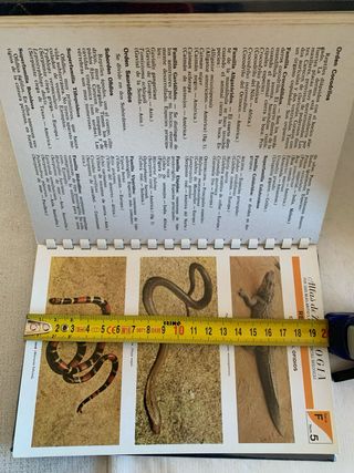 23 Pequeños Libros de los  Años 70