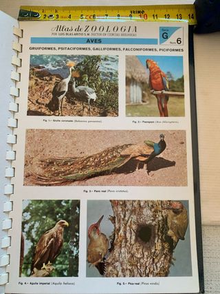 23 Pequeños Libros de los  Años 70