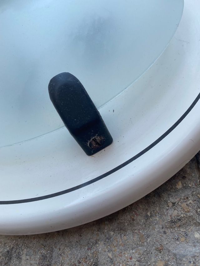 Plafón de techo redondo con plato