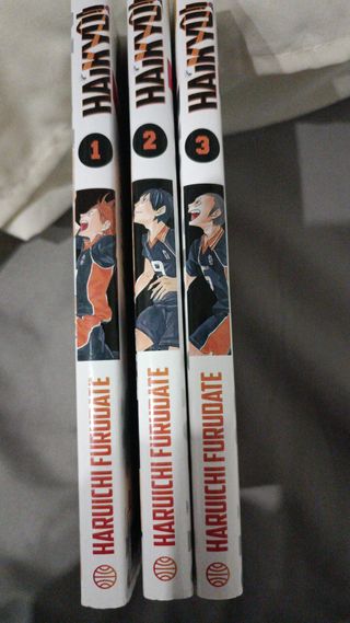Libro Haykiu Manga 1,2,3
