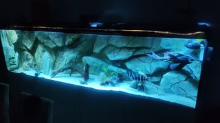 Acuario 660 litros completo con mueble