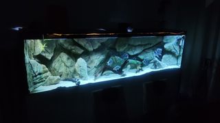 Acuario 660 litros completo con mueble
