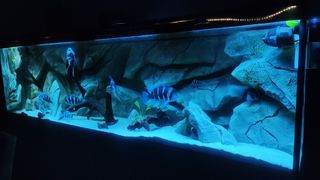 Acuario 660 litros completo con mueble