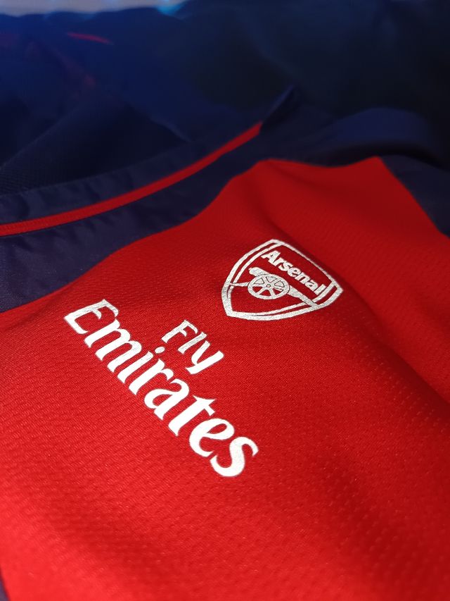Chaqueta Puma de Training Arsenal 2016/2017