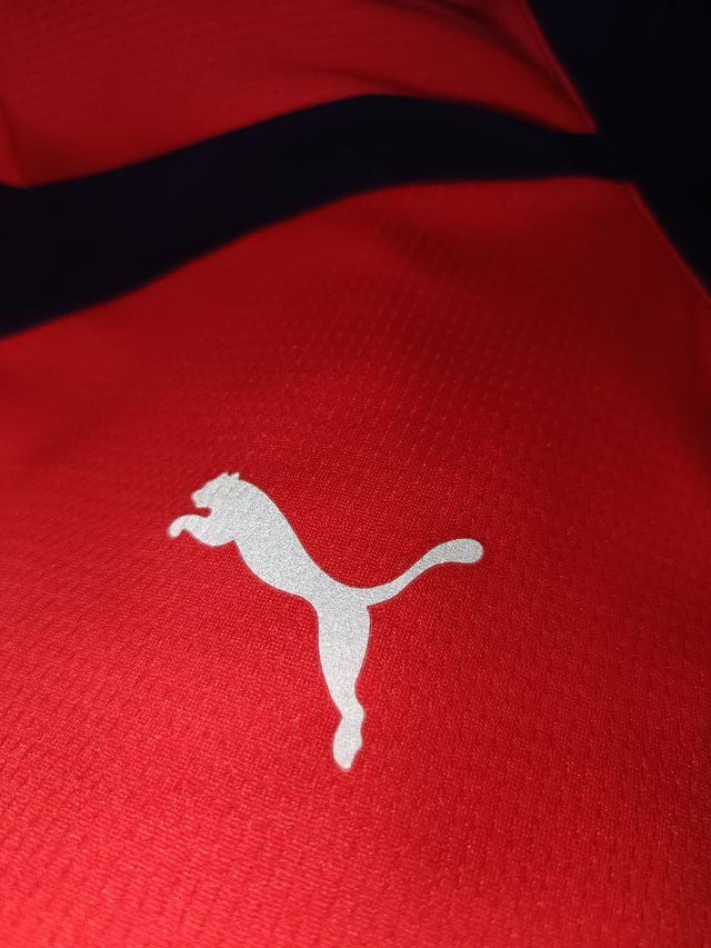 Chaqueta Puma de Training Arsenal 2016/2017