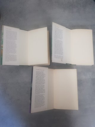 Novelas Johanna Lindsey