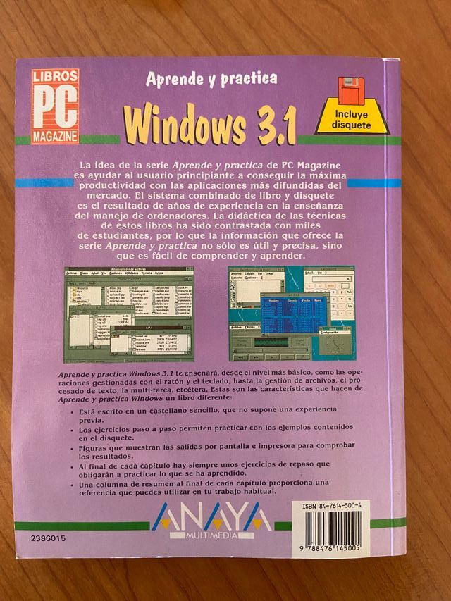 Aprende y practica Windows 3.1
