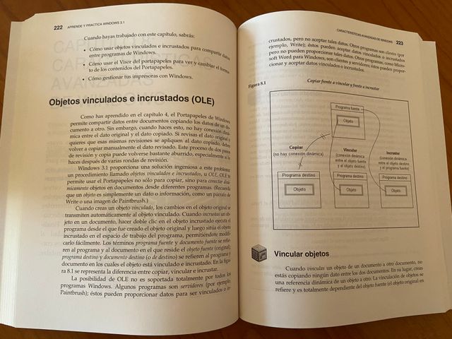 Aprende y practica Windows 3.1