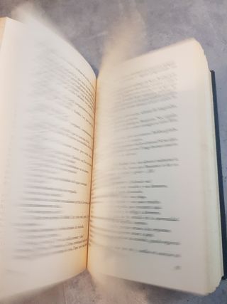 Libro "Sublime amor juvenil"