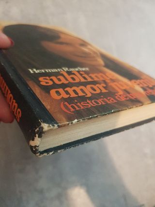 Libro "Sublime amor juvenil"
