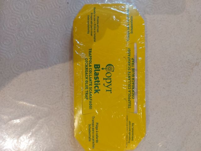 Trappola con collante x animali striscianti