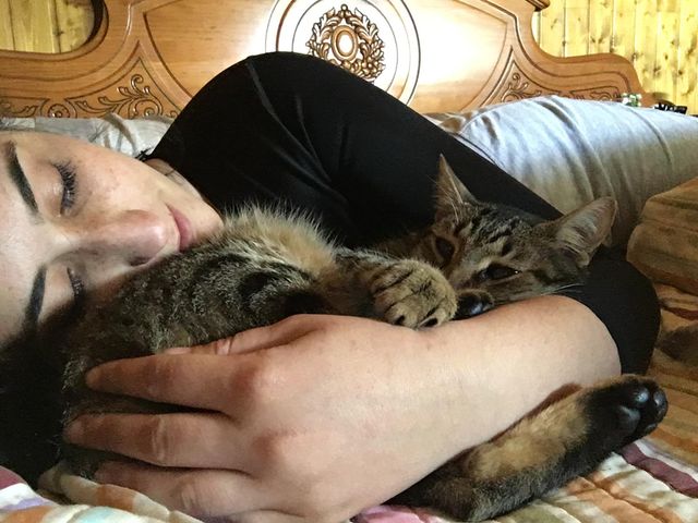 CAT SITTER GATOS CUIDADORA FELINA