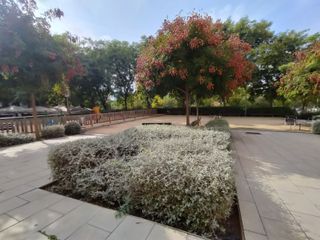 R-7936742 Venta de 3 locales y negocio take away