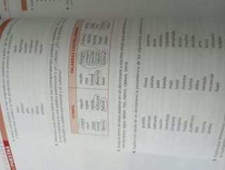 Libro lengua castellana y literatura