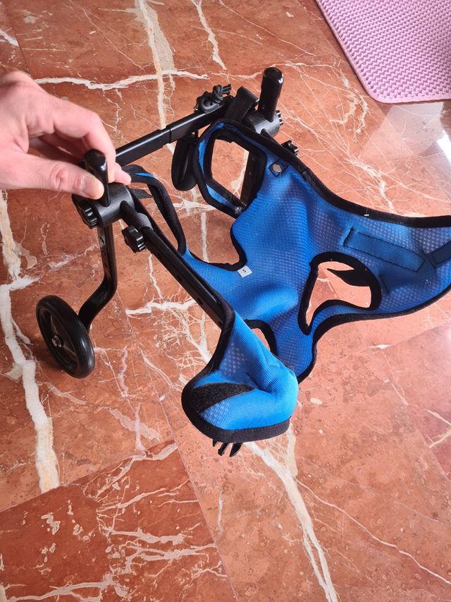 Sillita andadora para perro o gato