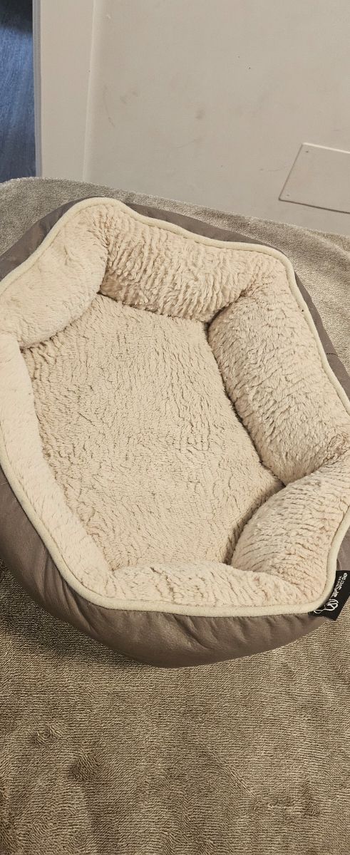 Trasportin de perritos 🐕