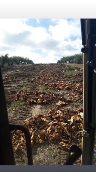 EXCAVACIONES