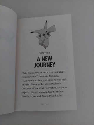 POKEMON Colección 15 libros