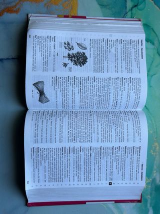 Diccionario Lengua Española SANTILLANA