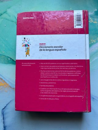 Diccionario Lengua Española SANTILLANA