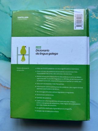 Diccionario lengua gallega SANTILLANA