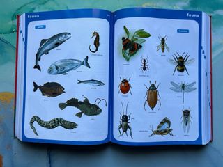 Diccionario lengua española VOX