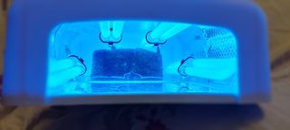 Fornetto per le unghie a raggi UV