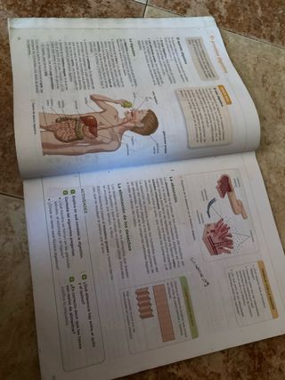 libro ciencias de la naturaleza 6 primaria