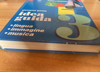 Guida didattica italiano 3 Juvenilia