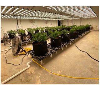 Plataforma recogida riego cultivo indoor