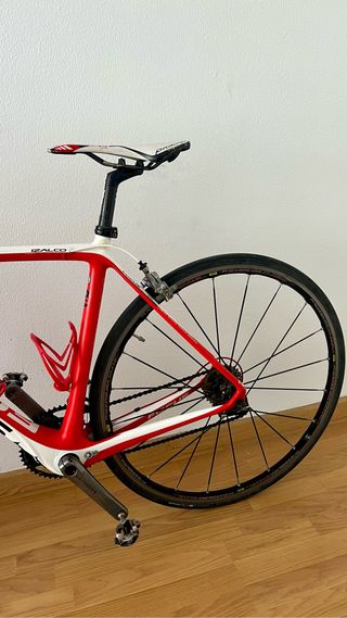 FOCUS Izalco CARBONO