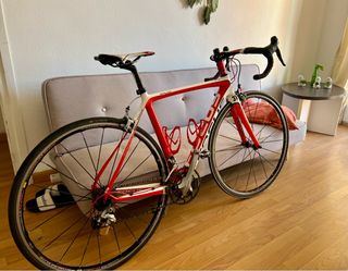 FOCUS Izalco CARBONO