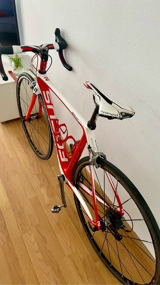 FOCUS Izalco CARBONO