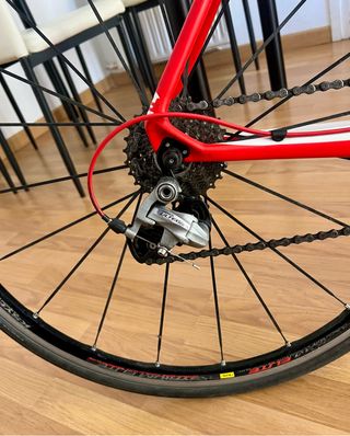 FOCUS Izalco CARBONO