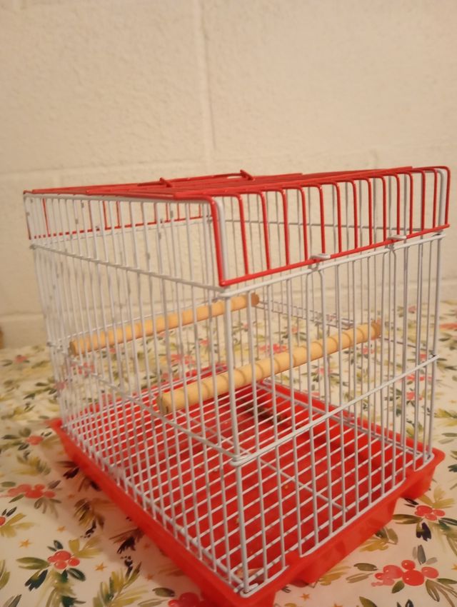 Jaula pájaros pequeña